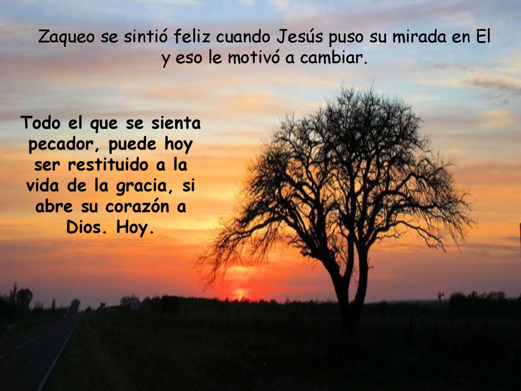 Zaqueo se sintió feliz cuando Jesús puso su mirada en El y eso le motivó a cambiar.