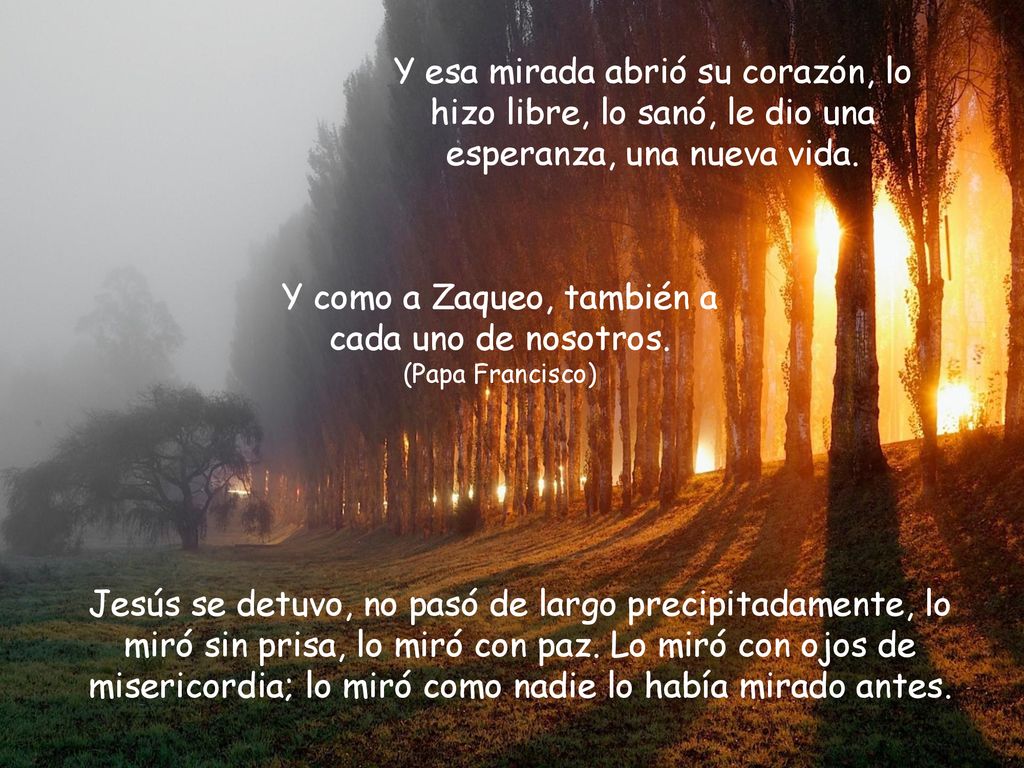 Y como a Zaqueo, también a cada uno de nosotros. (Papa Francisco)