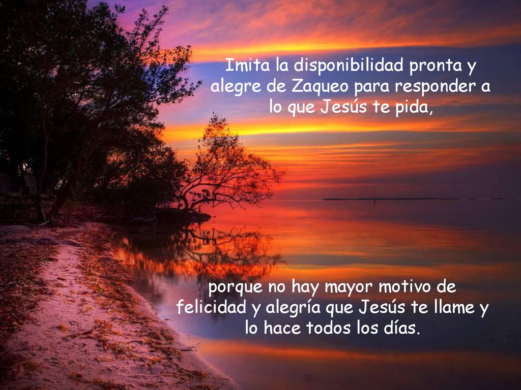Imita la disponibilidad pronta y alegre de Zaqueo para responder a lo que Jesús te pida,