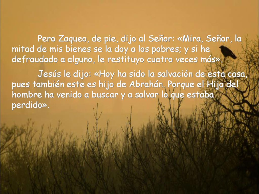 Pero Zaqueo, de pie, dijo al Señor: «Mira, Señor, la mitad de mis bienes se la doy a los pobres; y si he defraudado a alguno, le restituyo cuatro veces más».