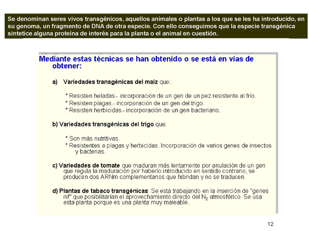 Se denominan seres vivos transgénicos, aquellos animales o plantas a los que se les ha introducido, en su genoma, un fragmento de DNA de otra especie.
