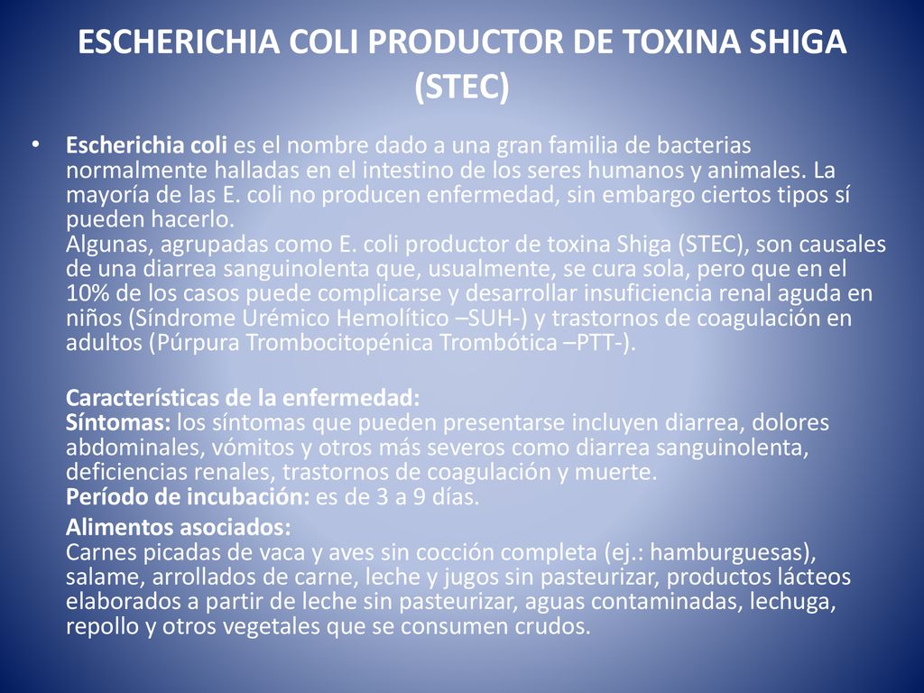 ESCHERICHIA COLI PRODUCTOR DE TOXINA SHIGA (STEC)