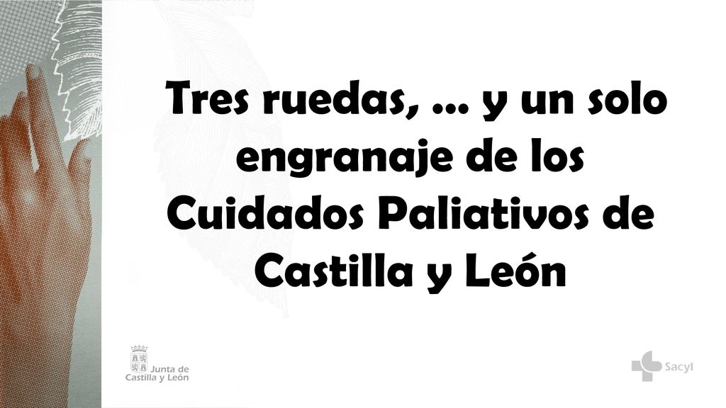 Tres ruedas, … y un solo engranaje de los Cuidados Paliativos de Castilla y León
