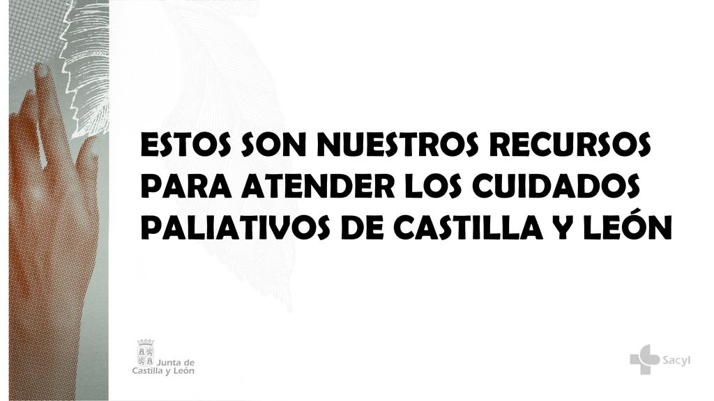 ESTOS SON NUESTROS RECURSOS PARA ATENDER LOS CUIDADOS PALIATIVOS DE CASTILLA Y LEÓN