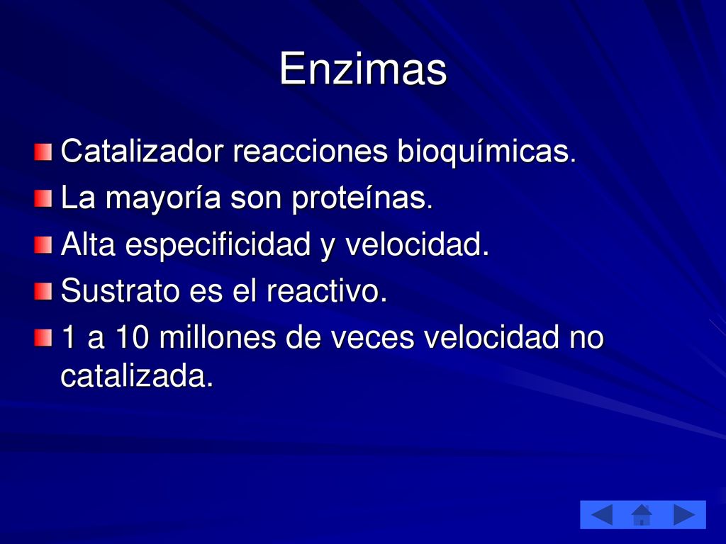 Enzimas Catalizador reacciones bioquímicas. La mayoría son proteínas.
