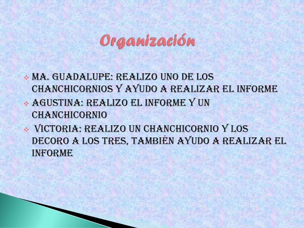 Organización Ma. Guadalupe: realizo uno de los chanchicornios y ayudo a realizar el informe. Agustina: realizo el informe y un chanchicornio.