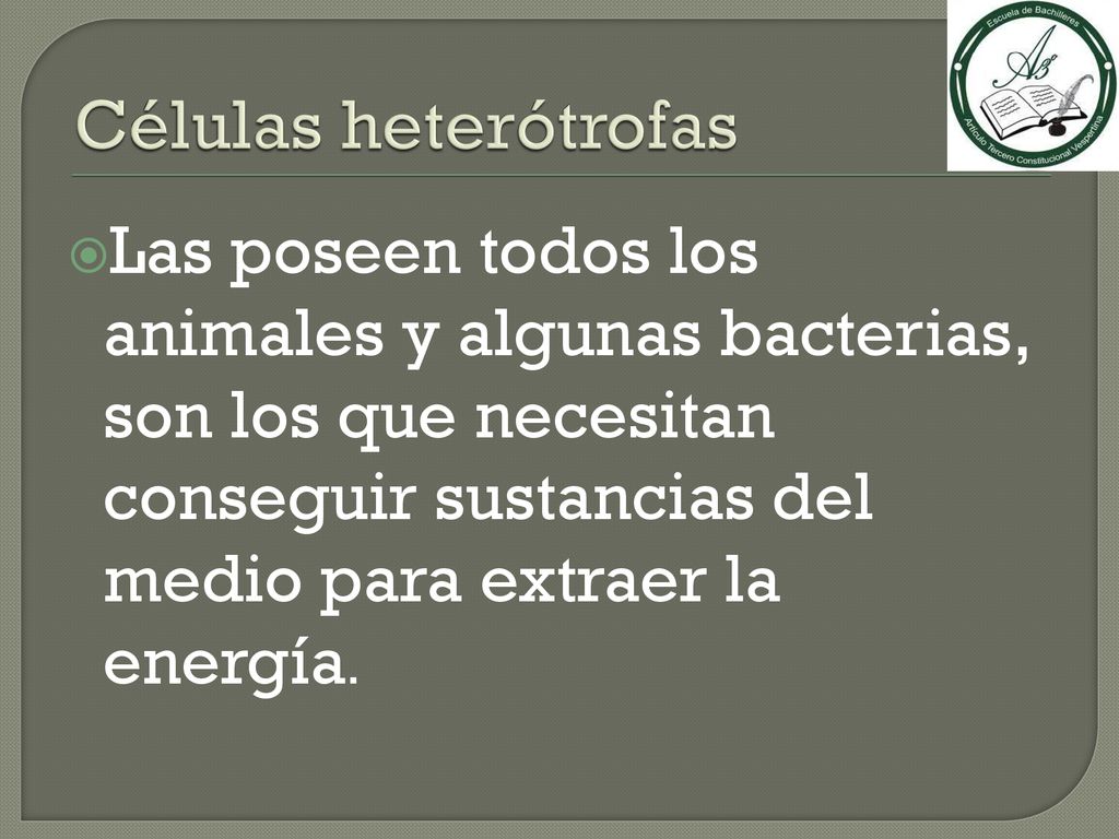 Células heterótrofas Las poseen todos los animales y algunas bacterias, son los que necesitan conseguir sustancias del medio para extraer la energía.