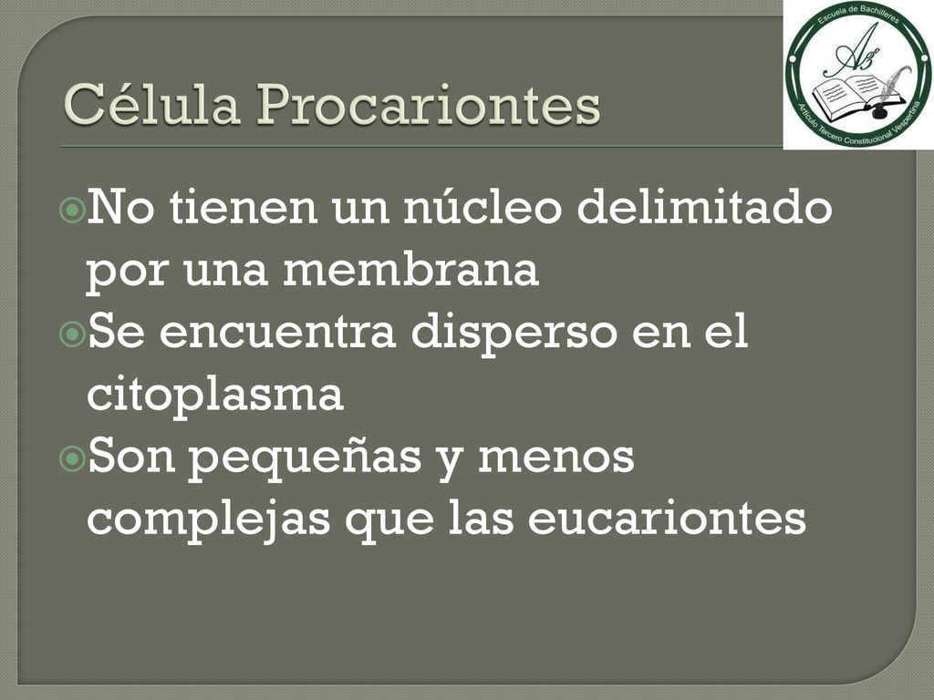 Célula Procariontes No tienen un núcleo delimitado por una membrana