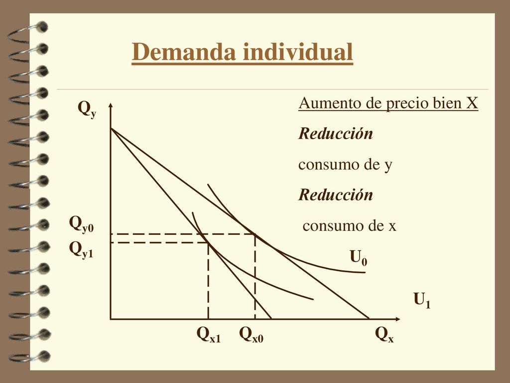 Demanda individual Aumento de precio bien X Reducción consumo de y