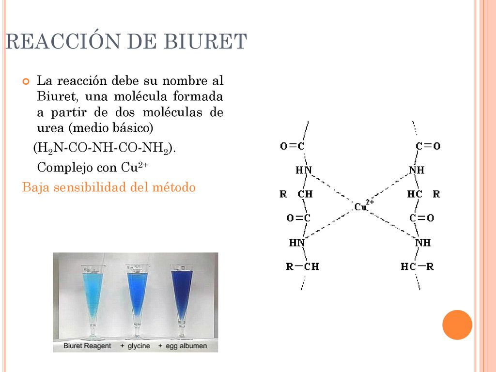 REACCIÓN DE BIURET La reacción debe su nombre al Biuret, una molécula formada a partir de dos moléculas de urea (medio básico)