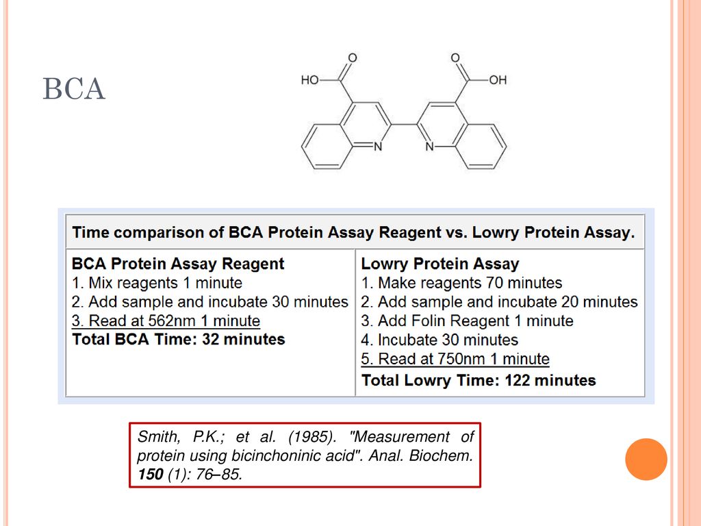 BCA Smith, P.K.; et al. (1985). Measurement of protein using bicinchoninic acid .