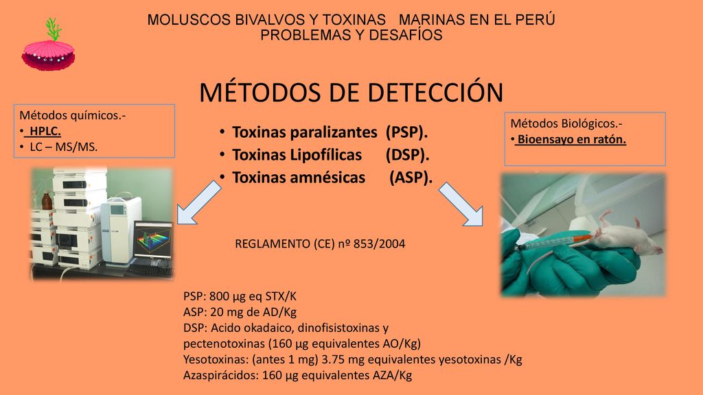 MOLUSCOS BIVALVOS Y TOXINAS MARINAS EN EL PERÚ PROBLEMAS Y DESAFÍOS