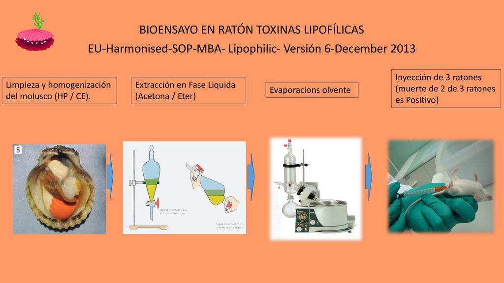 BIOENSAYO EN RATÓN TOXINAS LIPOFÍLICAS EU-Harmonised-SOP-MBA- Lipophilic- Versión 6-December 2013
