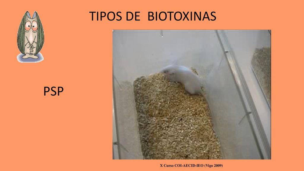 TIPOS DE BIOTOXINAS PSP X Curso COI-AECID-IEO (Vigo 2009)