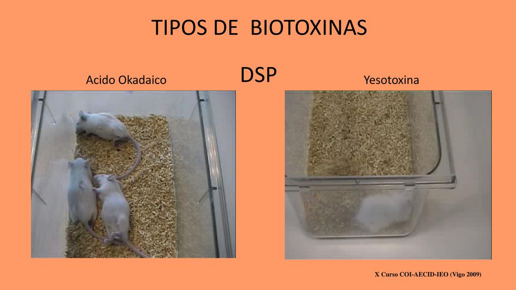TIPOS DE BIOTOXINAS DSP Acido Okadaico Yesotoxina