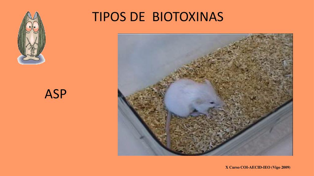 TIPOS DE BIOTOXINAS ASP X Curso COI-AECID-IEO (Vigo 2009)