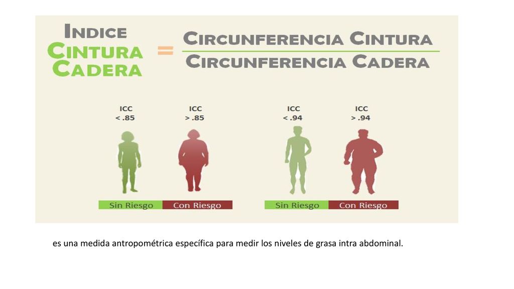 - El índice se obtiene midiendo el perímetro de la cintura a la altura de la última costilla flotante (aproximadamente dos dedos por encima del ombligo), y el perímetro máximo de la cadera, a nivel de los glúteos. Es un método indirecto que sirve para determinar la distribución de la grasa abdominal.