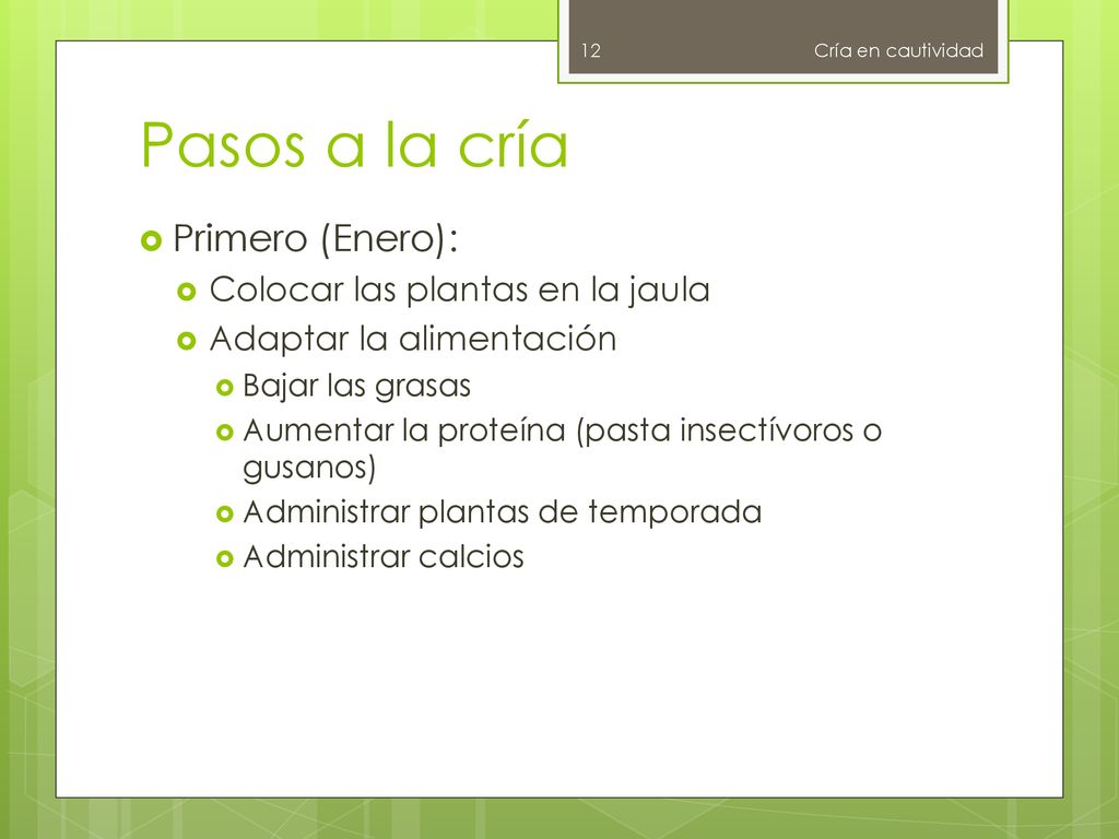 Pasos a la cría Primero (Enero): Colocar las plantas en la jaula