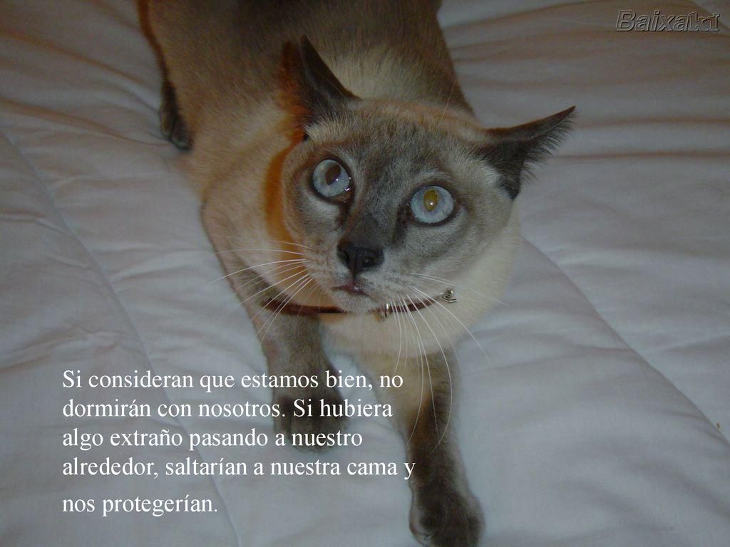 Si consideran que estamos bien, no dormirán con nosotros