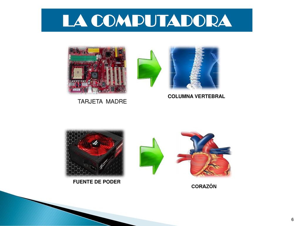 LA COMPUTADORA COLUMNA VERTEBRAL TARJETA MADRE FUENTE DE PODER CORAZÓN