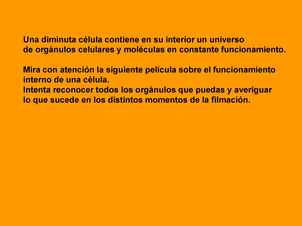 Una diminuta célula contiene en su interior un universo