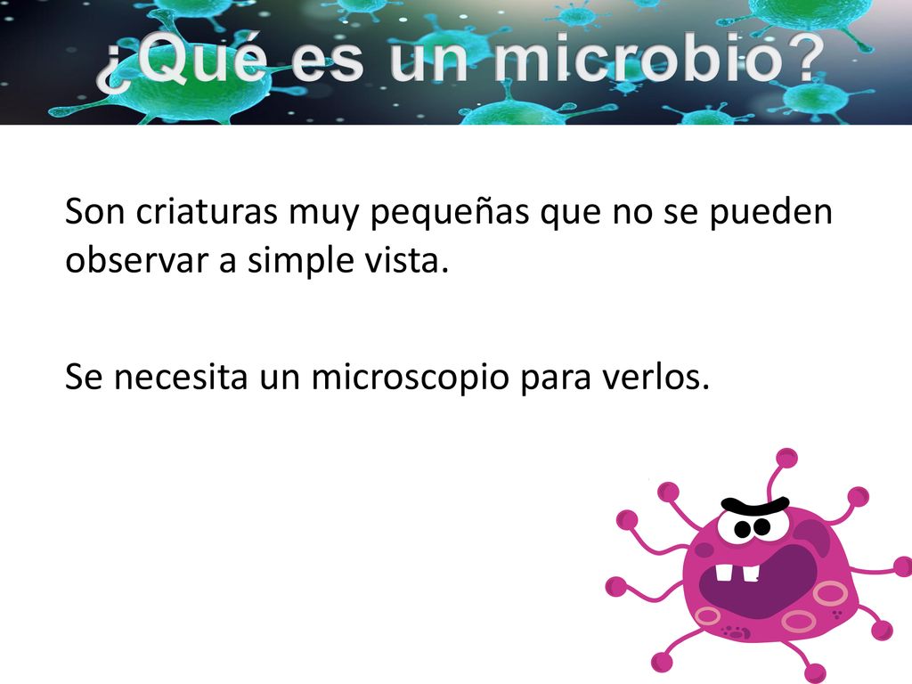 ¿Qué es un microbio. Son criaturas muy pequeñas que no se pueden observar a simple vista.