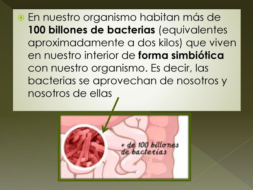 En nuestro organismo habitan más de 100 billones de bacterias (equivalentes aproximadamente a dos kilos) que viven en nuestro interior de forma simbiótica con nuestro organismo.
