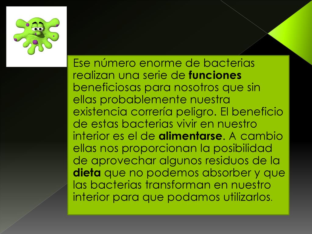 Ese número enorme de bacterias realizan una serie de funciones beneficiosas para nosotros que sin ellas probablemente nuestra existencia correría peligro.