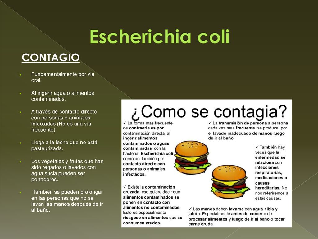 Escherichia coli CONTAGIO Fundamentalmente por vía oral.