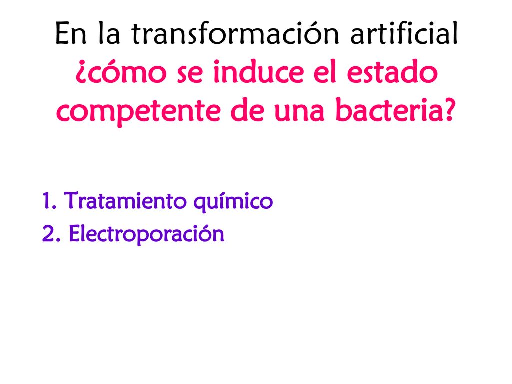 En la transformación artificial ¿cómo se induce el estado competente de una bacteria