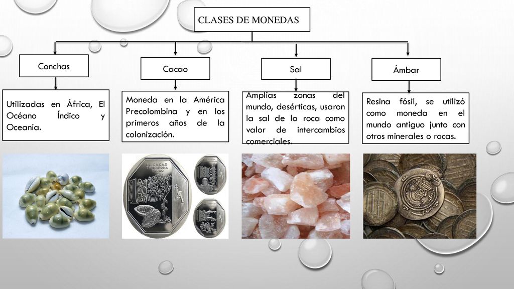 CLASES DE MONEDAS Conchas. Cacao. Sal. Ámbar. Utilizadas en África, El Océano Índico y Oceanía.