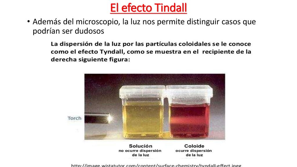 El efecto Tindall Además del microscopio, la luz nos permite distinguir casos que podrían ser dudosos.