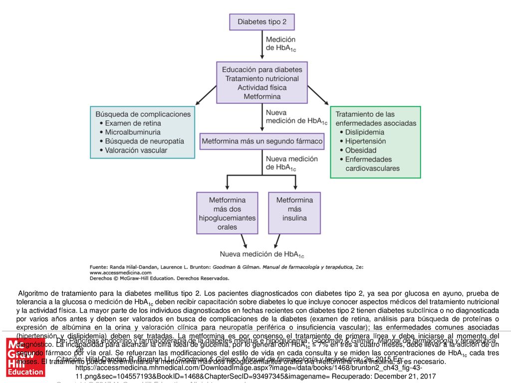 Algoritmo de tratamiento para la diabetes mellitus tipo 2