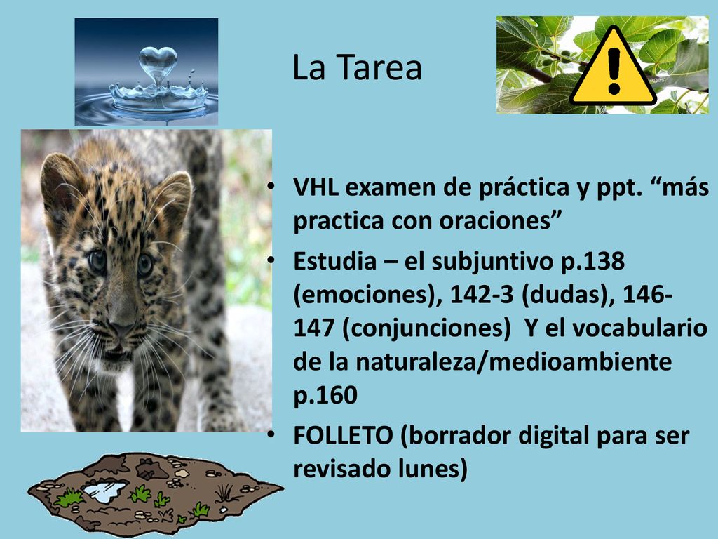 La Tarea VHL examen de práctica y ppt. más practica con oraciones