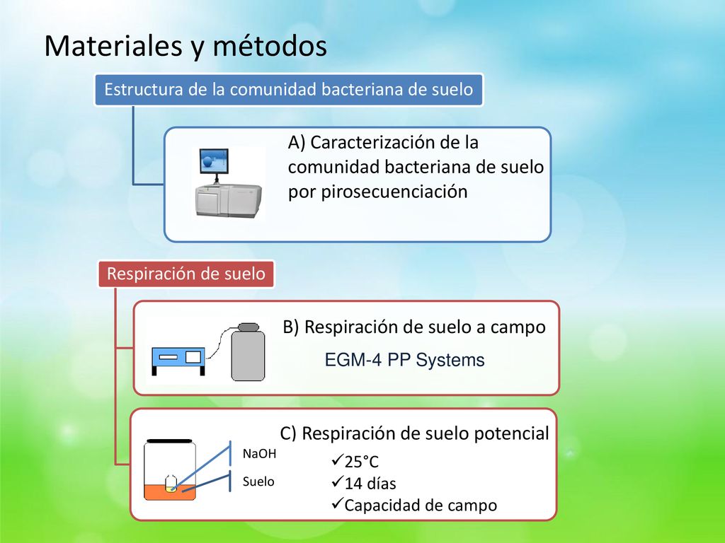 Materiales y métodos Estructura de la comunidad bacteriana de suelo. A) Caracterización de la comunidad bacteriana de suelo por pirosecuenciación.