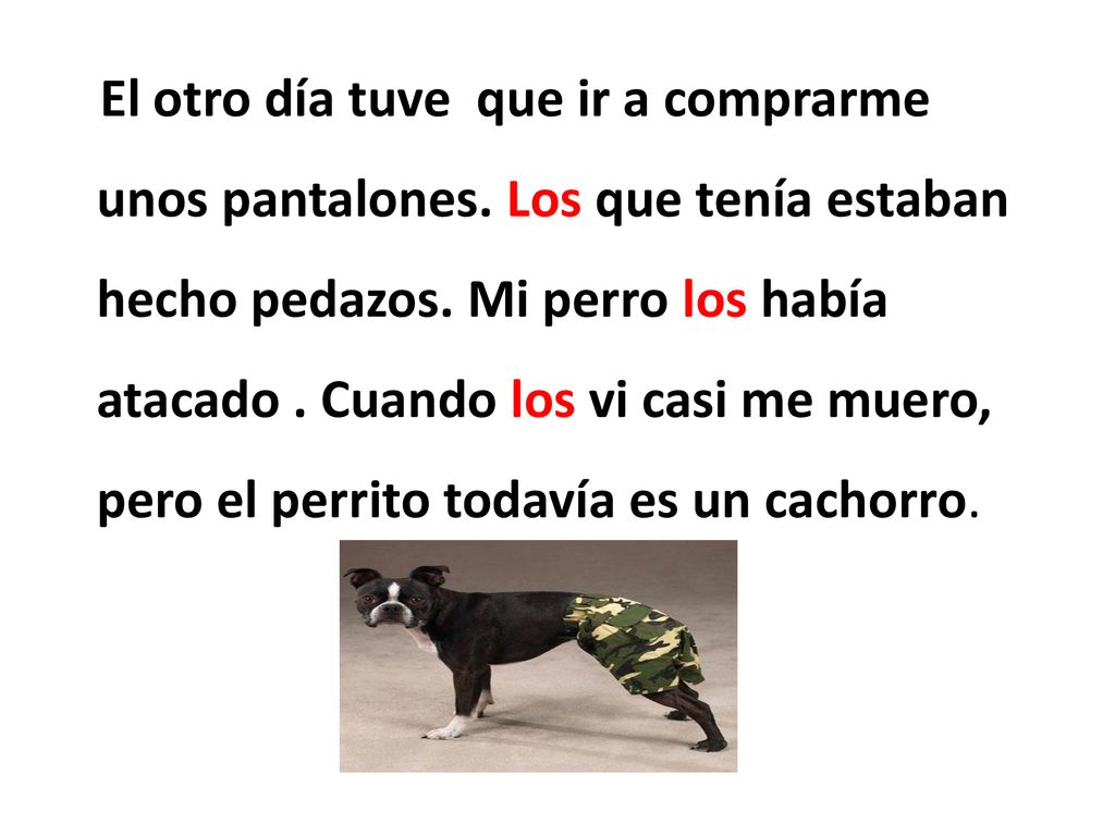 El otro día tuve que ir a comprarme unos pantalones