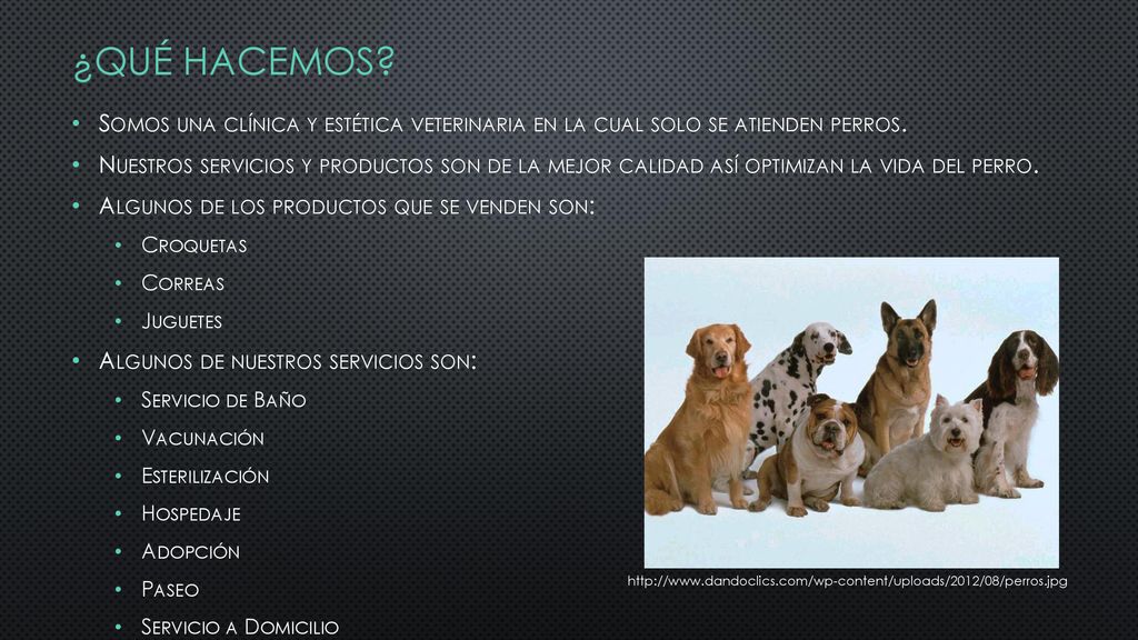 ¿Qué hacemos Somos una clínica y estética veterinaria en la cual solo se atienden perros.