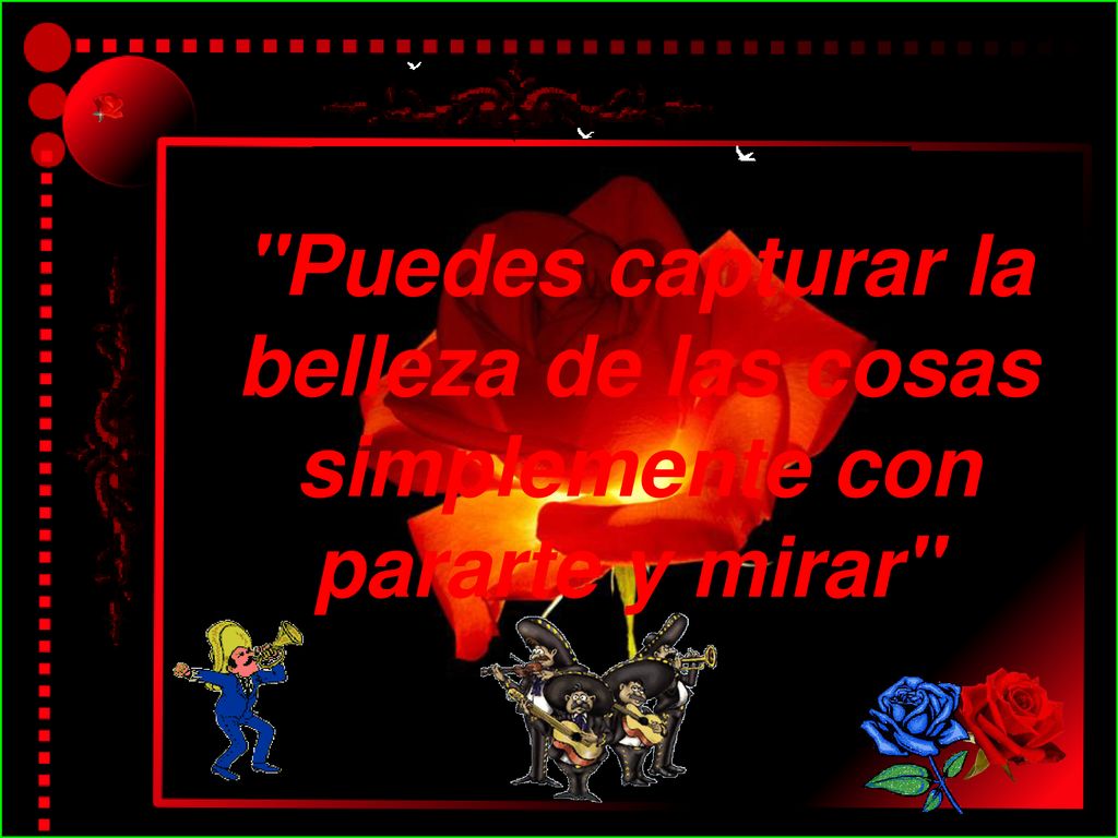 Puedes capturar la belleza de las cosas simplemente con pararte y mirar