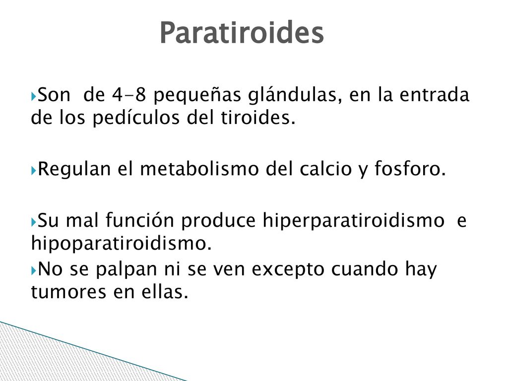 9/7/2018 Paratiroides. Son de 4-8 pequeñas glándulas, en la entrada de los pedículos del tiroides.