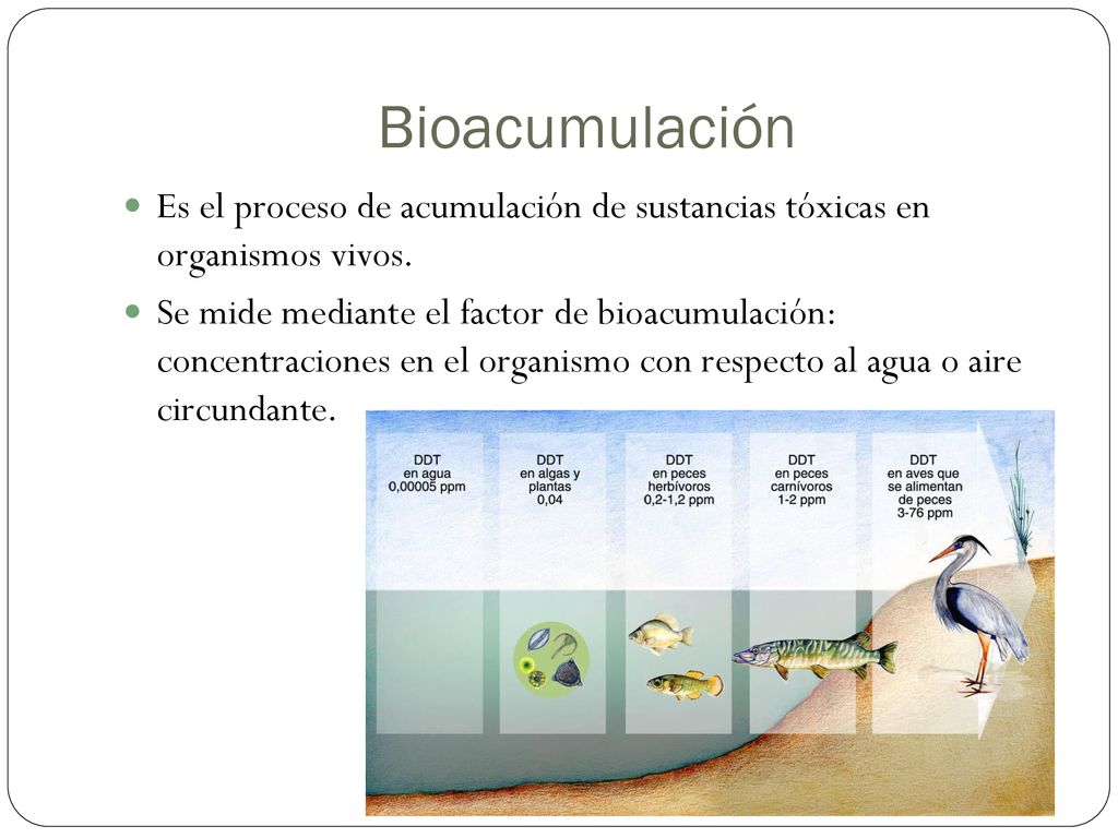 Bioacumulación Es el proceso de acumulación de sustancias tóxicas en organismos vivos.