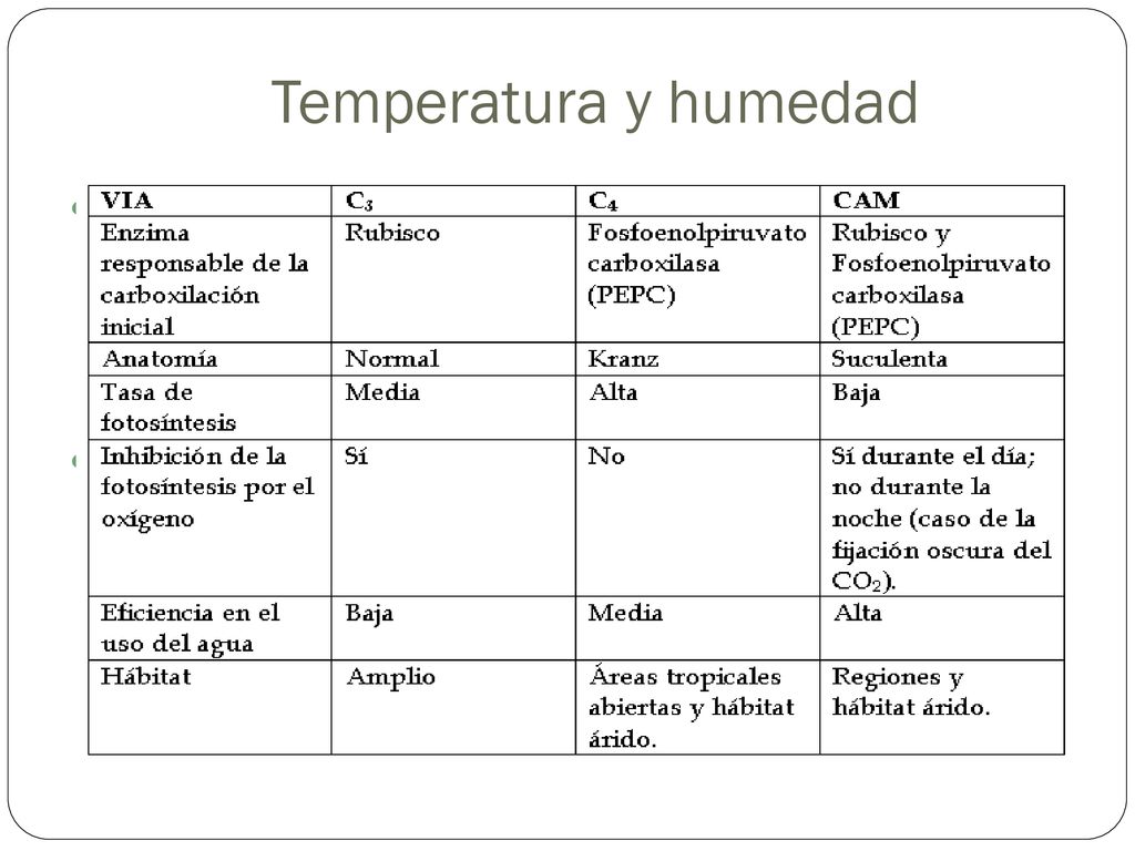 Temperatura y humedad Ambas limitan la producción primaria en las zonas continentales.