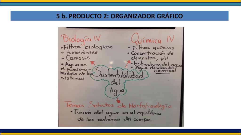 5 b. PRODUCTO 2: ORGANIZADOR GRÁFICO