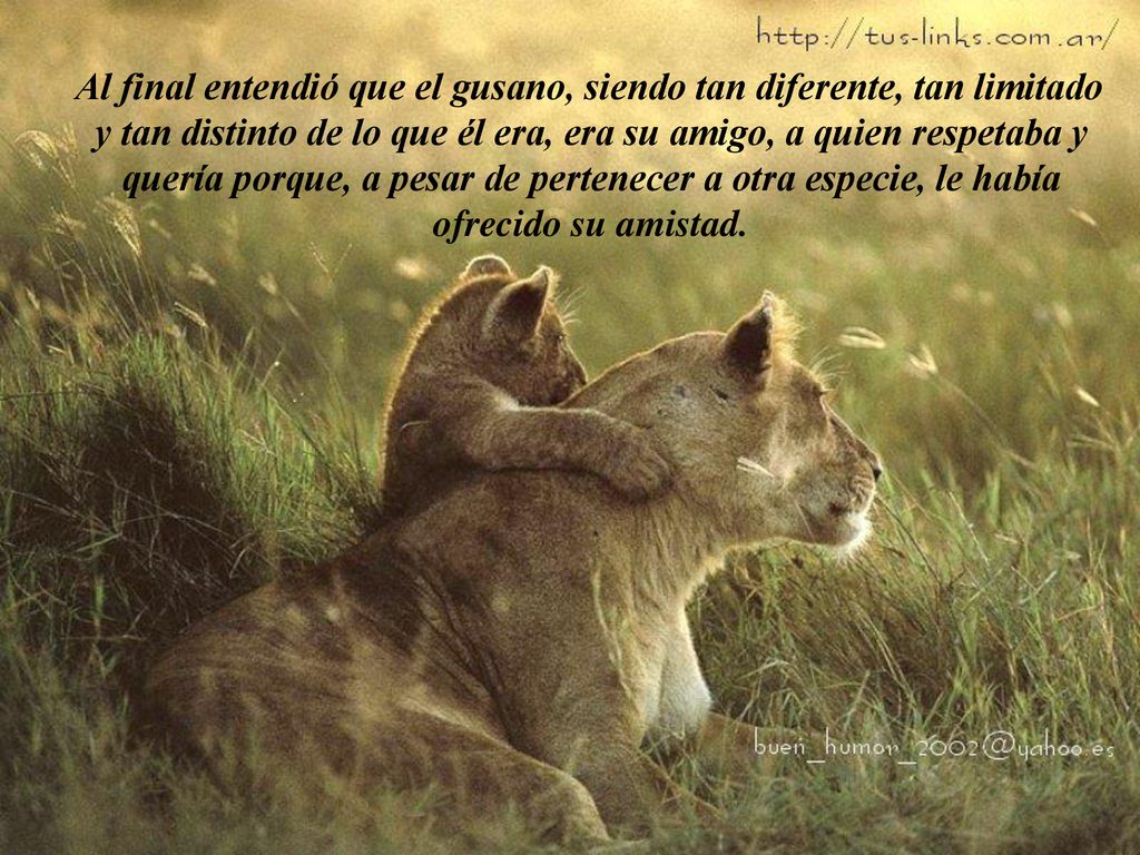 Al final entendió que el gusano, siendo tan diferente, tan limitado y tan distinto de lo que él era, era su amigo, a quien respetaba y quería porque, a pesar de pertenecer a otra especie, le había ofrecido su amistad.