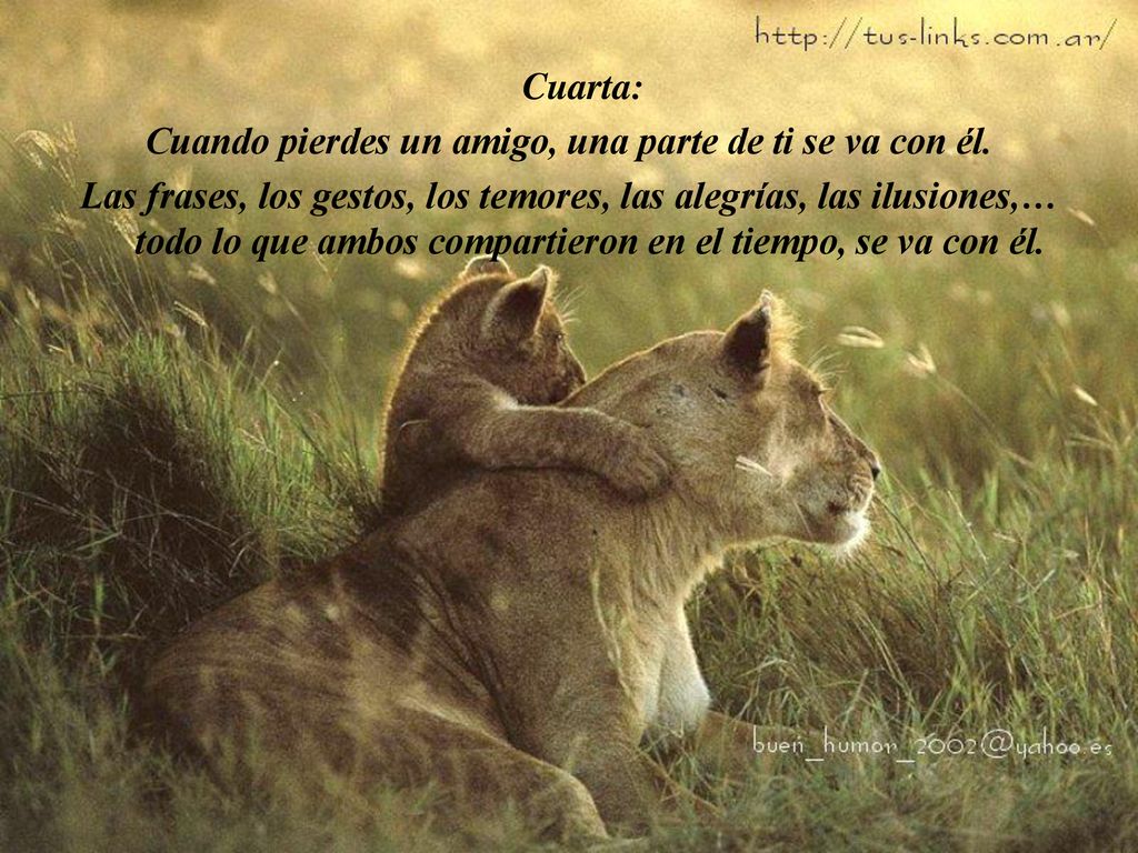 Cuando pierdes un amigo, una parte de ti se va con él.