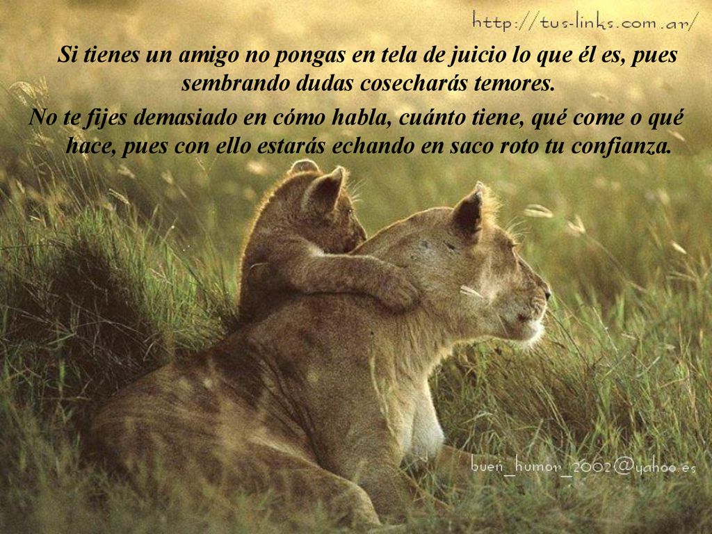 Si tienes un amigo no pongas en tela de juicio lo que él es, pues sembrando dudas cosecharás temores.
