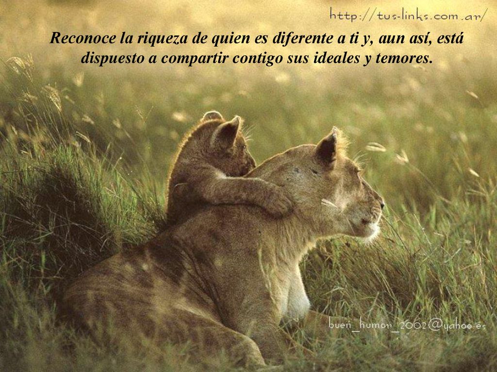 Reconoce la riqueza de quien es diferente a ti y, aun así, está dispuesto a compartir contigo sus ideales y temores.