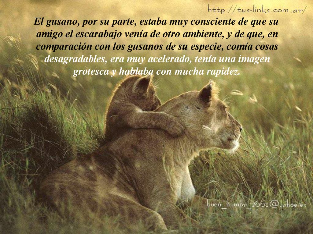 El gusano, por su parte, estaba muy consciente de que su amigo el escarabajo venía de otro ambiente, y de que, en comparación con los gusanos de su especie, comía cosas desagradables, era muy acelerado, tenía una imagen grotesca y hablaba con mucha rapidez.