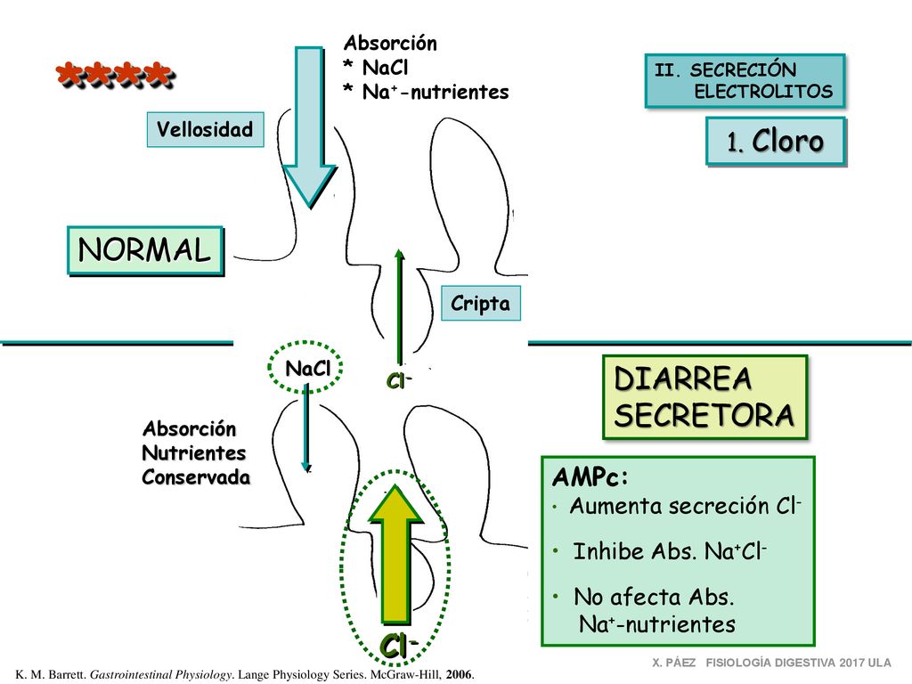 * *** NORMAL DIARREA SECRETORA Cl- 1. Cloro AMPc: Inhibe Abs. Na+Cl-