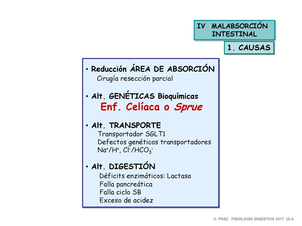 Enf. Celíaca o Sprue 1. CAUSAS Reducción ÁREA DE ABSORCIÓN