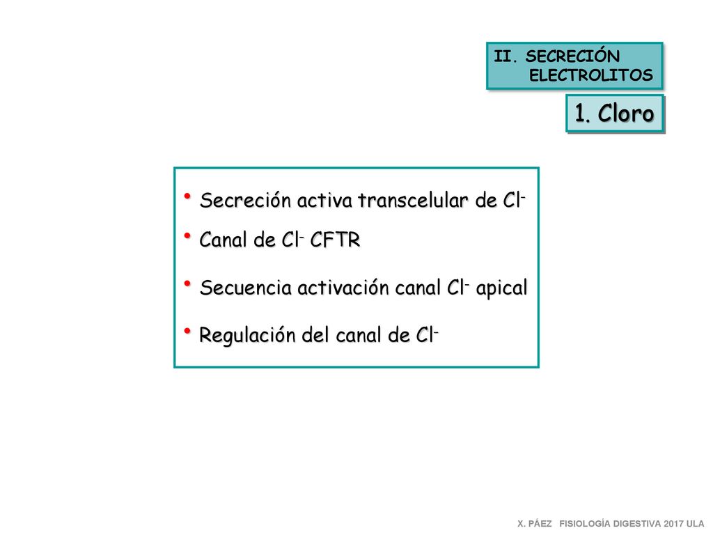 1. Cloro Secreción activa transcelular de Cl- Canal de Cl- CFTR